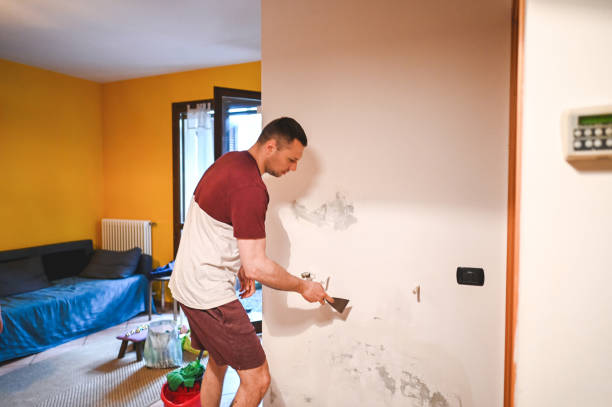 Best Commercial Mold Removal  in Mount Airy, GA